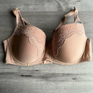 Ashley Graham Bra